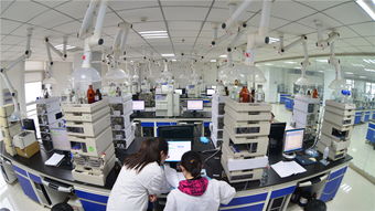 縱深 河北藥企 瞄準從0到1的創(chuàng)新